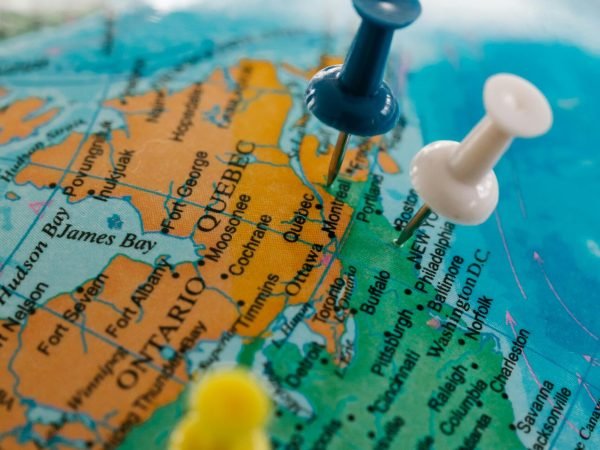 navigating the global business sector